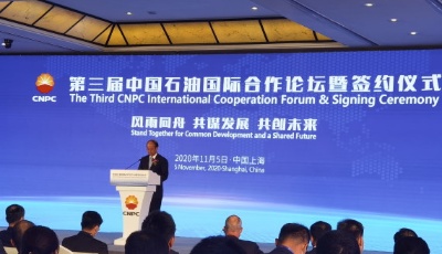 直通進(jìn)博會|中國石油企業(yè)與全球伙伴共克疫情油價嚴(yán)峻挑戰(zhàn)