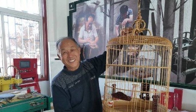 雙11到來(lái)訂單增三四倍！即墨“鳥(niǎo)籠淘寶第一村”日銷(xiāo)千單