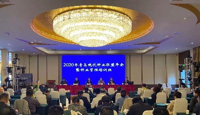 打造青島種業(yè)創(chuàng)新交流平臺  青島市現(xiàn)代種業(yè)聯(lián)盟年會暨首屆種業(yè)發(fā)展論壇隆重召開
