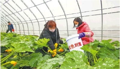 廣饒縣大王鎮(zhèn)劉集后村將紅色資源與生態(tài)產(chǎn)業(yè)有機(jī)結(jié)合，走出一條—— 革命老村的“紅綠雙贏”之路