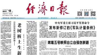 老樹樁上生新芽