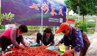特色產業、名優品牌，山東各地推動“一村一品”強村富民