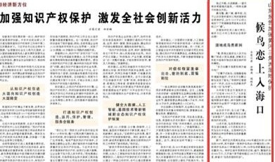 人民日報點贊東營加強黃河三角洲濕地保護：候鳥戀上入海口