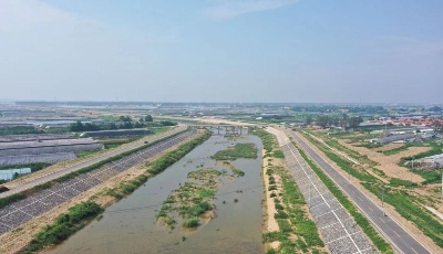 "齊"心"魯"力|山東壽光：蔬菜之鄉補短板