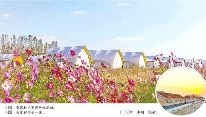 輝煌“十三五”|“一增一減”，山東灘區(qū)村奔上小康路