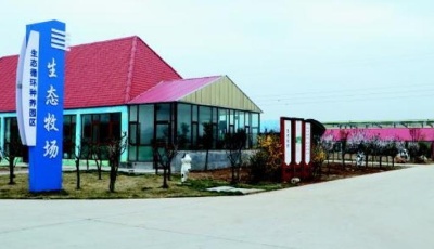 濰坊：一頭帶動鄉村振興 一頭促進城市繁榮