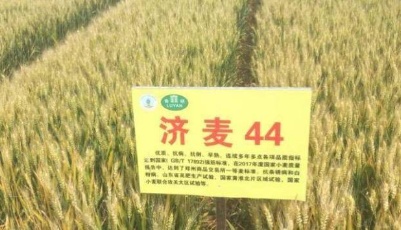 閃電深1度｜10%！省委經(jīng)濟工作會議上唯一明確的數(shù)字指標(biāo)，有何深意？