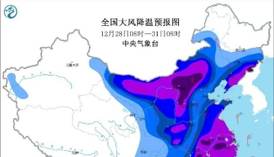 寒潮主演歲末大戲，這次要“凍”真格了！