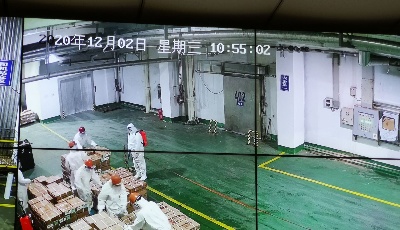 青岛市紧盯冷链食品防控工作  严查不按规定入仓等8种行为