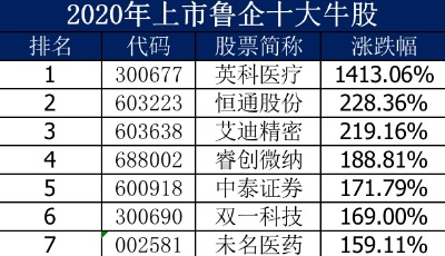 鲁股2020年市场表现大盘点（一）：上市鲁企十大牛股