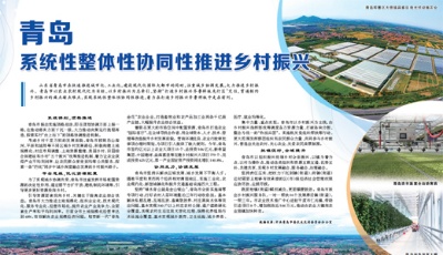 人民日報點贊山東青島：系統性整體性協同性推進鄉村振興