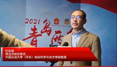 市政協(xié)委員杜啟振：運(yùn)用大數(shù)據(jù)手段   提高城市治理水平