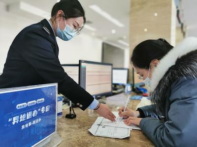  青岛经济高质量发展的“税收密码”