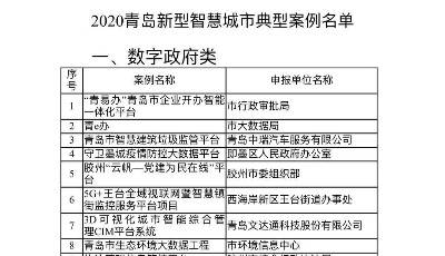 2020青島新型智慧城市典型案例評(píng)選結(jié)果張榜 