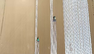 首個(gè)農(nóng)業(yè)總產(chǎn)值萬(wàn)億省為何是它？