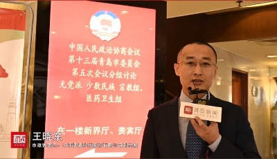 市政協(xié)委員王曉東：建立健全中小企業(yè)融資風(fēng)險(xiǎn)補(bǔ)償機(jī)制