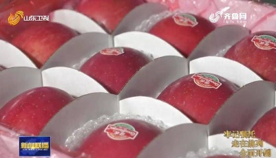 【牢記囑托 走在前列 全面開創】山東：優化營商環境 出口退稅提速提效