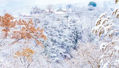 "齊"心"魯"力|雪潤齊魯舞蹁躚