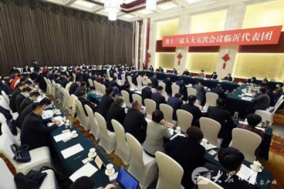 刘家义参加临沂代表团审议