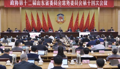 同心奮斗 情滿征途——山東省政協2020年工作綜述