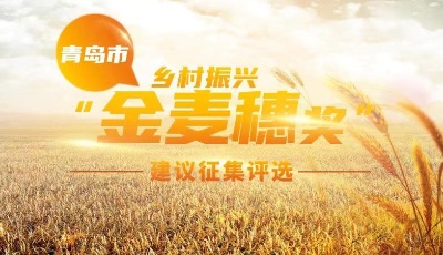 “金麥穗獎(jiǎng)”評(píng)選揭曉  優(yōu)秀建議助推鄉(xiāng)村振興