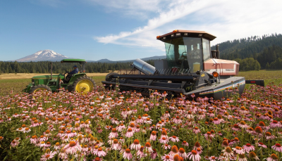 大健康行業(yè)消費升級 安利守護消費安全