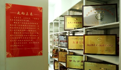 全省交通运输领域唯一    城运控股交运集团获评“省档案工作示范系统”