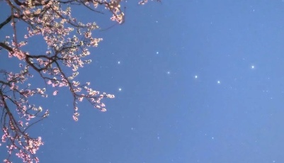 星空燦爛，和你一起看星星……
