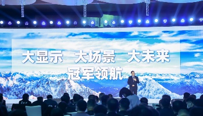 海信于芝濤：2025年海信大顯示行業收入將突破千億