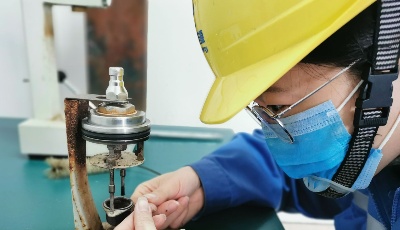 她們是春的使者 用真摯情懷溫暖島城