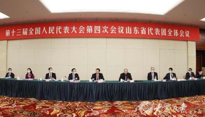 山東代表團舉行全體會議，審查“十四五”規(guī)劃和2035年遠景目標綱要草案