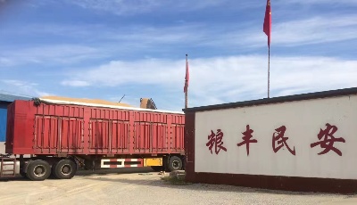 兴业银行青岛分行助力乡村振兴谋新篇