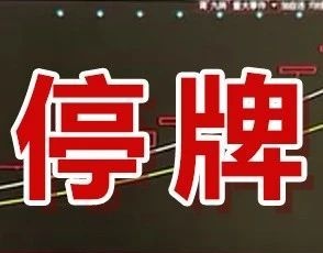 疯狂！21个涨停、一个月猛涨8倍！这只股票，停牌核查！