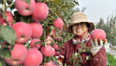 苹果咬了“聪明钱”！游资跨界囤货陷窘境