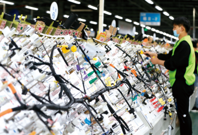 深度解读│投资青企“画像”