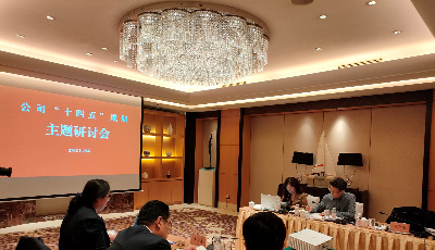 城市传媒举办公司“十四五“规划及高质量发展学习研讨会