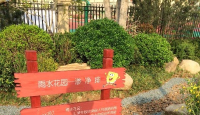 海綿城市建設(shè)標(biāo)準(zhǔn)“青島制定”