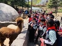 春季研学“走进野生动物园，探索神奇大自然”