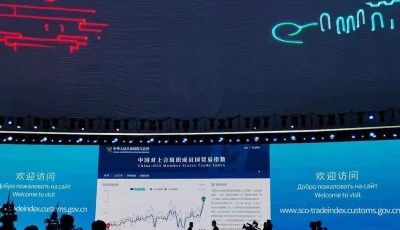 进出口总值年均增长15%！中国对上合组织成员国贸易指数发布