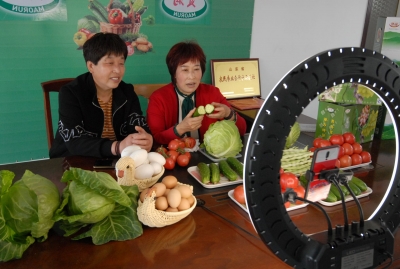 山东即墨：大棚变成直播间，菜农成为“新网红”