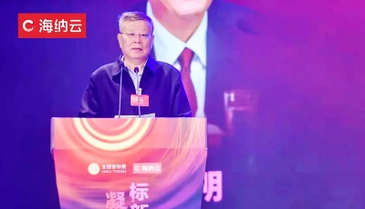 从样板打造到标准输出，海纳云“标新立异”助力城市智慧产业    