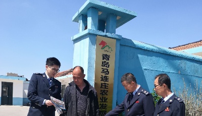 青島萊西市：稅收助力“小甜瓜”闖出大市場(chǎng)  