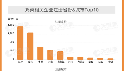全國(guó)有雞架相關(guān)企業(yè)5200家，青島排第二