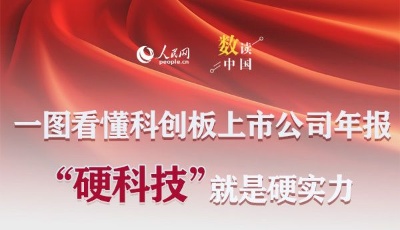 一图看懂科创板上市公司年报：“硬科技”就是硬实力
