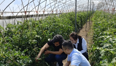 兴业银行青岛分行：以金融创新助力开拓现代农业发展新空间