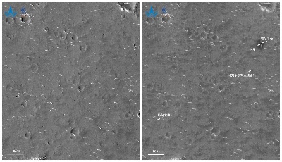 国家航天局发布我国首次火星探测天问一号任务着陆区域高分影像图