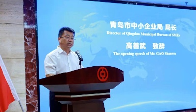 近200家企业交流互动 中（青岛）日隐形冠军企业对接交流会举办