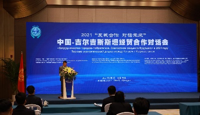 60余家企业相聚云端 中吉经贸合作对话会在青举行