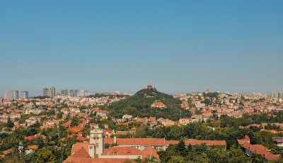 青岛培育高成长性企业 打造“热带雨林”发展生态