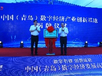 數(shù)字引領(lǐng)　創(chuàng)新驅(qū)動(dòng)   中國（青島）數(shù)字經(jīng)濟(jì)發(fā)展高峰論壇開幕